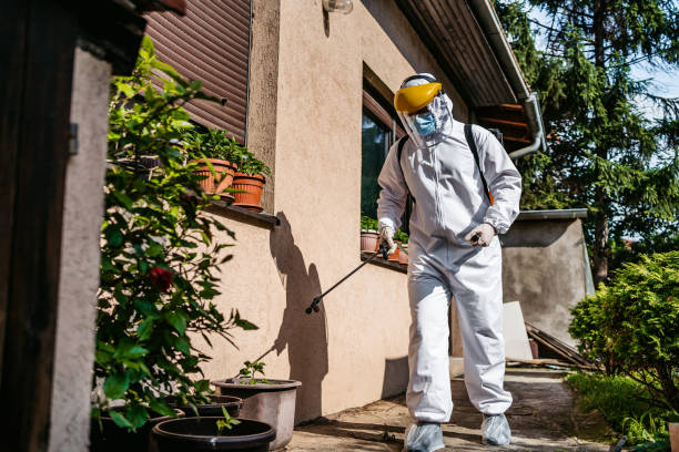 Best Mosquito Control Services  in Lucerne, CA